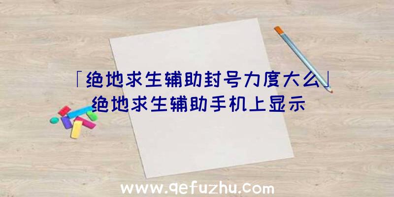 「绝地求生辅助封号力度大么」|绝地求生辅助手机上显示